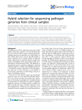 Báo cáo y học: "Hybrid selection for sequencing pathogen genomes from clinical samples"