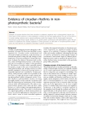 Báo cáo y học: "Evidence of circadian rhythms in nonphotosynthetic bacteria"