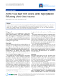 Báo cáo y học: "Aortic valve tear with severe aortic regurgitation following blunt chest trauma"