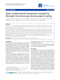 Báo cáo y học: "Giant endobronchial hamartoma resected by fiberoptic bronchoscopy electrosurgical snaring"