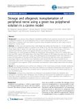 Báo cáo y học: "Storage and allogeneic transplantation of peripheral nerve using a green tea polyphenol solution in a canine model'