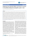 Báo cáo y học: "Exploring the potential effect of Ocimum sanctum in vincristine-induced neuropathic pain in rats"