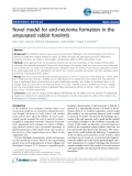 Báo cáo y học: "Novel model for end-neuroma formation in the amputated rabbit forelimb"