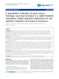 Báo cáo y học: "A quantitative evaluation of gross versus histologic neuroma formation in a rabbit forelimb amputation model: potential implications for the operative treatment and study of neuromas"