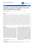 Báo cáo y học: "Strategies to prevent intraoperative lung injury during cardiopulmonary bypass"