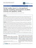 Báo cáo y học: "Human cardiac tissue in a microperfusion chamber simulating extracorporeal circulation ischemia and apoptosis studies"