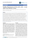 Báo cáo y học: "Papillary fibroelastoma of the aortic valve - a case report and literature review"