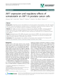 báo cáo khoa học: " XAF1 expression and regulatory effects of somatostatin on XAF1 in prostate cancer cells"