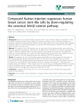 báo cáo khoa học: "Compound Kushen Injection suppresses human breast cancer stem-like cells by down-regulating the canonical Wnt/b-catenin pathway"