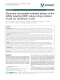 báo cáo khoa học: "Ultrasound microbubble-mediated delivery of the siRNAs targeting MDR1 reduces drug resistance of yolk sac carcinoma L2 cells"