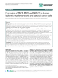 báo cáo khoa học: " Expression of MICA, MICB and NKG2D in human leukemic myelomonocytic and cervical cancer cells"