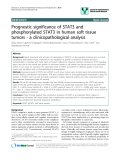 báo cáo khoa học: "Prognostic significance of STAT3 and phosphorylated STAT3 in human soft tissue tumors - a clinicopathological analysis"