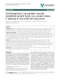 báo cáo khoa học: " Cyclooxygenase-2 up-regulates vascular endothelial growth factor via a protein kinase C pathway in non-small cell lung cancer"