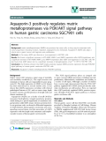 báo cáo khoa học: " Aquaporin-3 positively regulates matrix metalloproteinases via PI3K/AKT signal pathway in human gastric carcinoma SGC7901 cells"