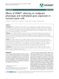 báo cáo khoa học: " Effects of DNMT1 silencing on malignant phenotype and methylated gene expression in cervical cancer cells"