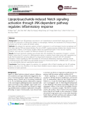 Báo cáo y học: " Lipopolysaccharide-induced Notch signaling activation through JNK-dependent pathway regulates inflammatory response."