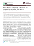 Báo cáo y học: "Roles of planar cell polarity pathways in the development of neutral tube defects"