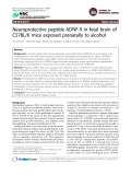 Báo cáo y học: " Neuroprotective peptide ADNF-9 in fetal brain of C57BL/6 mice exposed prenatally to alcohol"