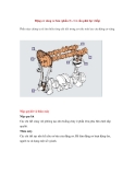 Động cơ xăng cơ bản (phần 3) - Cơ cấu phát lực (tiếp) 
