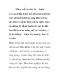 Màng mề gà cũng là vị thuốc