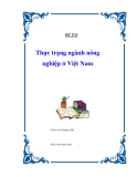 Đề tài " Thực trạng ngành nông nghiệp ở Việt Nam "