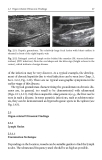 Manual of Diagnostic Ultrasound in Infectious Tropical Diseases - part 3
