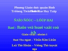 Giáo án điện tử tiểu học: Bảo vệ loài vật có ích