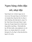 Ngưu bàng chữa đậu sởi, nhọt độc