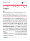 báo cáo khoa học: "Role of Wnt canonical pathway in hematological malignancies"