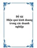 Đề tài: Hiệu quả kinh doang trong các doanh nghiệp