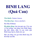 BINH LANG (Quả Cau)