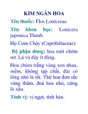 KIM NGÂN HOA