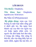 LÔI HOÀN