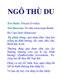 NGÔ THÙ DU