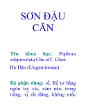 SƠN ĐẬU CĂN