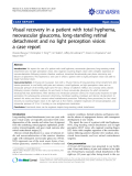 Báo cáo y học: "Visual recovery in a patient with total hyphema, neovascular glaucoma, long-standing retinal detachment and no light perception vision: a case report"