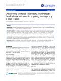 báo cáo khoa học: "Obstructive jaundice secondary to pancreatic head adenocarcinoma in a young teenage boy: a case report"