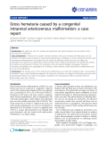 báo cáo khoa học: "Gross hematuria caused by a congenital intrarenal arteriovenous malformation: a case report"