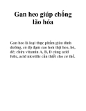 Gan heo giúp chống lão hóa