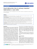 Báo cáo y học: " Cecal obstruction due to primary intestinal tuberculosis: a case series"