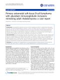 báo cáo khoa học: " Primary extranodal soft-tissue B-cell lymphoma with abundant immunoglobulin inclusions mimicking adult rhabdomyoma: a case report"