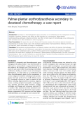 Báo cáo y học: " Palmar-plantar erythrodysesthesia secondary to docetaxel chemotherapy: a case repo"