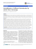 báo cáo khoa học: "Immobilization of different biomolecules by atomic force microscopy"