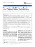 báo cáo khoa học: "The impact of CdSe/ZnS Quantum Dots in cells of Medicago sativa in suspension culture"