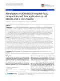 báo cáo khoa học: " Manufacture of IRDye800CW-coupled Fe3O4 nanoparticles and their applications in cell labeling and in vivo imaging"