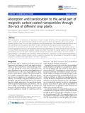 báo cáo khoa học: " Absorption and translocation to the aerial part of magnetic carbon-coated nanoparticles through the root of different crop plants"