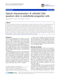 báo cáo khoa học: "Optical characterization of colloidal CdSe quantum dots in endothelial progenitor cells"