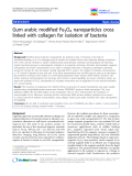 báo cáo khoa học: " Gum arabic modified Fe3O4 nanoparticles cross linked with collagen for isolation of bacteria"