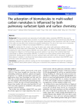 báo cáo khoa học: "The adsorption of biomolecules to multi-walled carbon nanotubes is influenced by both pulmonary surfactant lipids and surface chemistry"