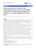 báo cáo khoa học: " Antimicrobial activity of spherical silver nanoparticles prepared using a biocompatible macromolecular capping agent: evidence for induction of a greatly prolonged bacterial lag phase"